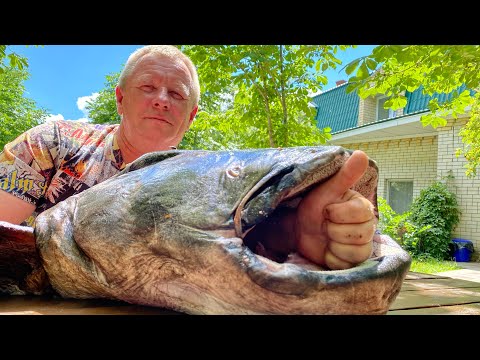 Видео: РЫБЬЯ ГОЛОВА -30 КИЛОГРАММОВ! УХА В 100-ЛИТРОВОМ БОЙЛЕРЕ! АНГЛИЙСКИЙ РЕЦЕПТ РЫБЫ УХА