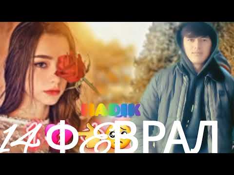Видео: Hadik_мс 14 феврал муборак ошико