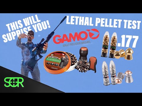 Видео: МОЖЕТ ЛИ .177 GAMO Magnum СТРЕЛЯТЬ ЧЕРЕЗ МЕТАЛЛ?!?! - Swarm GEN3i