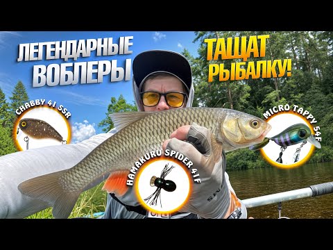 Видео: Белый хищник атакует воблеры | Рыбалка на малой реке в сплаве | Финишный день | Часть 3