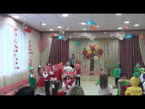 Видео: осенний подг  № 9