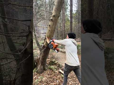 Видео: 30 жовтня 2025 р.