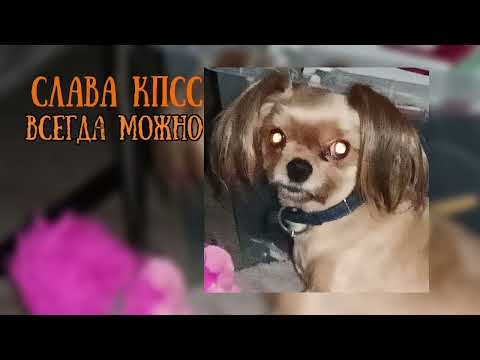 Видео: Слава КПСС - Всегда можно (speed up/nightcore)