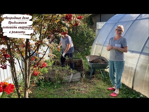 Видео:  Уютная дача: Огородные дела. Продолжаем готовить квартиру к ремонту.