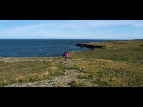 Видео: НА БЕРЕГУ КАРСКОГО МОРЯ