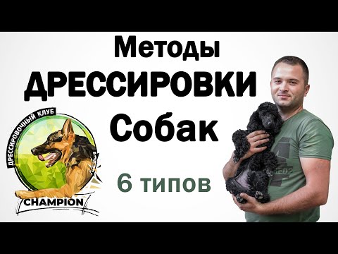 Видео: Какие существуют методы дрессировки собак? || ДРЕССИРОВКА СОБАК "CHAMPION"