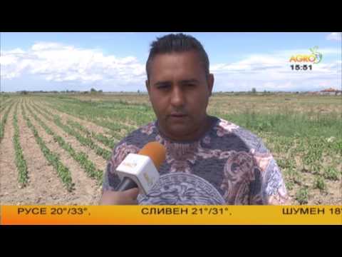 Видео: Земеделие на фокус: Работещите роми – мисията е възможна