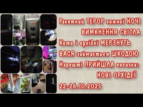Видео: Намагаємося триматися з останніх сил 22-26.10.2025