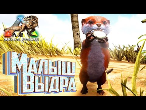 Видео: ПРИКЛЮЧЕНИЯ ВЫДРЫ В ARK Survival Evolved (часть 1)