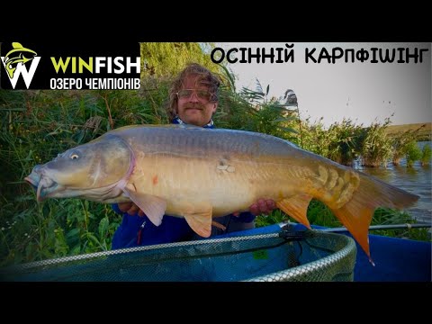 Видео: ОСІННІЙ КАРПФІШІНГ|Оз.WINFISH|Flagman Cast Master Feeder 2025 Allround