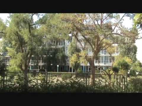 Видео: Пионерский лагерь "Пионер". Спустя много лет....