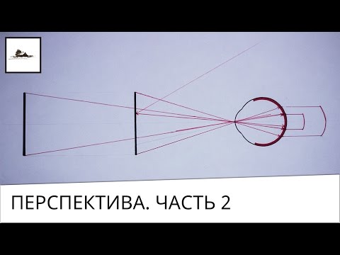 Видео: Часть 2. Принципы перспективы и устройство глаза для начинающих