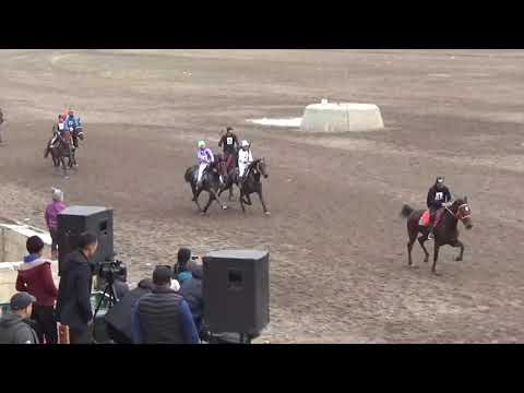 Видео: Жорго салыш 25 11 2021 Бишкек