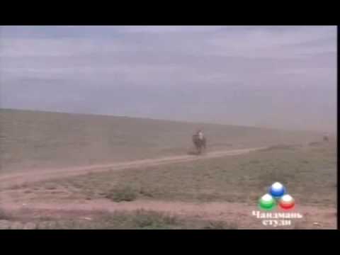 Видео: Их Хурд 3 азраганы уралдаан 2