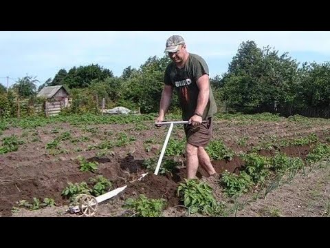 Видео: Выходные в деревне летом. Окучивание картошки