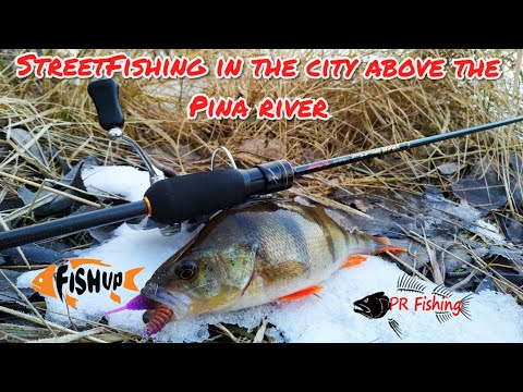 Видео: Зимний микроджиг, р.Пина и мордатые окуни. Испытание на прочность tict sram utr-68-tor the answer...