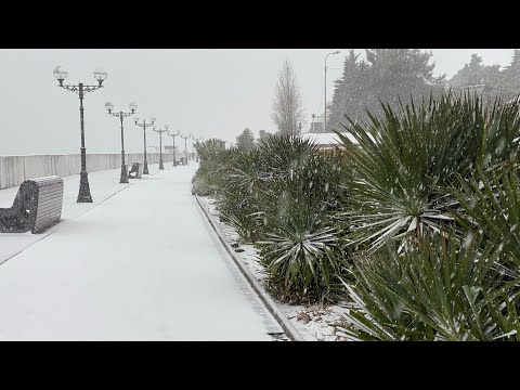 Видео: Снег в Сочи. 15.02.2023. Погода в Сочи в феврале.Смотри на Чёрное море каждый день.