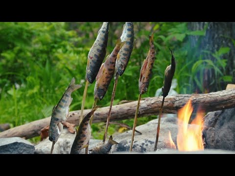 Видео: Горная рыбалка в Приморье! Пеструшка на ультралайт.