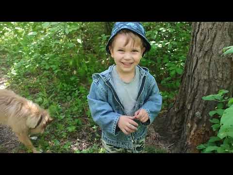 Видео: У похода есть начало, а конца походу нет