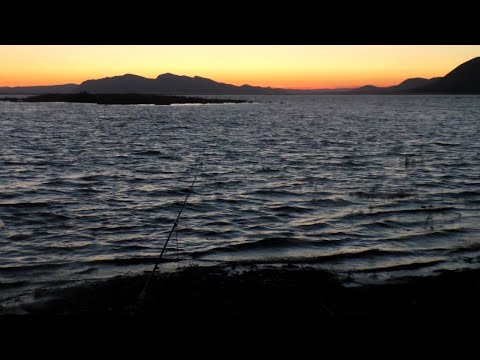 Видео: Рыбалка  на Красноярском водохранилище. Усть Абакан лето 2025 года часть -13