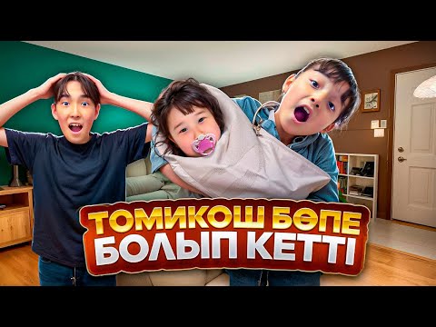 Видео: ТОМИКОШ ПИКМИ БОПЕ БОЛЫП КЕТТI😂