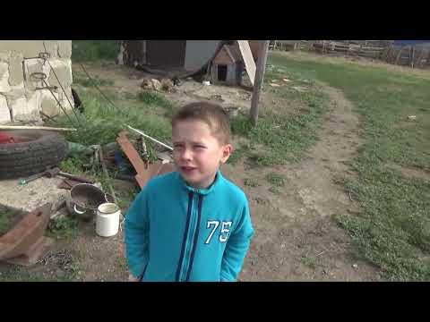 Видео: Видео от подписчика, последние новости, коровы слепнут((.