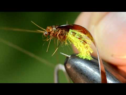 Видео: Пупа ручейника из органзы