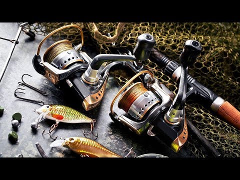 Видео: 20 ТОВАРОВ ДЛЯ РЫБАЛКИ С АЛИЭКСПРЕСС / ЛУЧШИЕ ТОВАРЫ ИЗ КИТАЯ ДЛЯ РЫБАКА