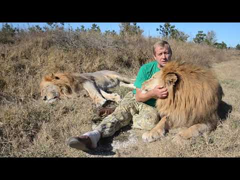 Видео: КЛАССНОЕ ВИДЕО !!! Проверяющие ОТКАЗЫВАЮТСЯ СЧИТАТЬ ДЕРЕВЬЯ СРЕДИ ЛЬВОВ !!!