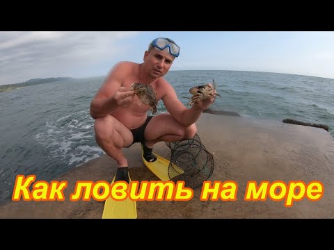 Видео: Рыбалка на море. Ловим краба и рыбу на верши, проверяем эффективность приманок.