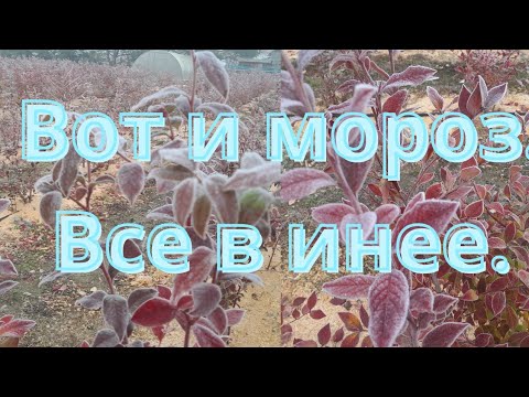 Видео: Мороз сегодня утром!