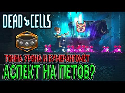 Видео: Аспект Ветеринар - урон за петов / +1 боеприпас на Бумеранге / Dead Cells Practice Makes Perfect