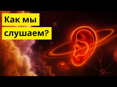 Видео: Тайна слуха: как мы слышим жизнь 🎶👂