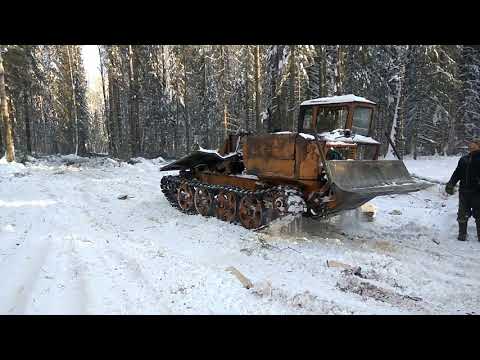 Видео: тдт 55. работа  в лесу