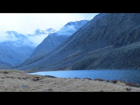 Видео: Едем на озеро Кок Коль сентябрь 2024 г