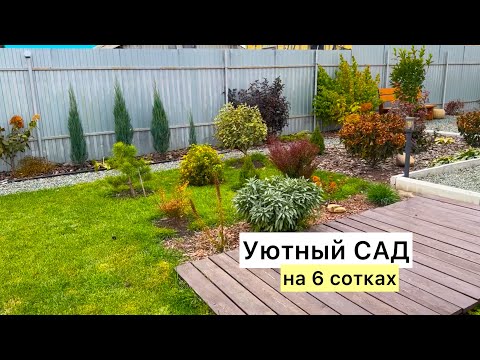 Видео: Осень в САДУ! Последние яркие краски!