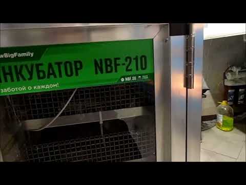 Видео: Пришёл инкубатор NBF 210