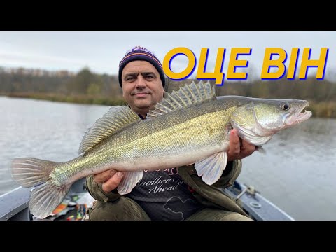 Видео: !!!ЗЛОВИЛИ СУДАКА МАМОНТА!!! СУДАКИ АПАРАТИ ІСНУЮТЬ!!! РИБАЛКА НА СУДАКА!!!