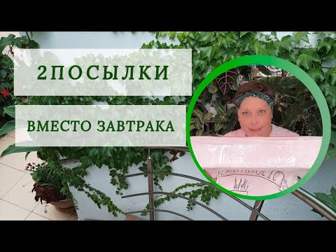 Видео: 2 ПОСЫЛКИ ВМЕСТО ЗАВТРАКА 23-09-2025