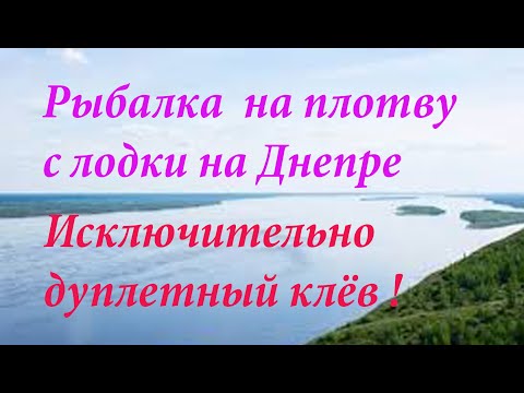 Видео: Рыбалка на плотву. Дуплетный клёв!