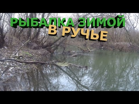 Видео: Рыбалка зимой с берега! Рыбалка в ручью!!!