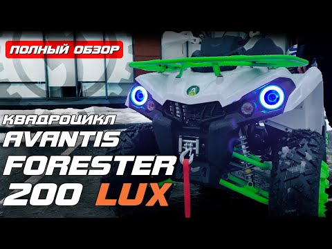 Видео: ЗАЧЕТНЫЙ КВАДР на 200 КУБОВ! / Обзор квадроцикла Avantis FORESTER 200 LUX