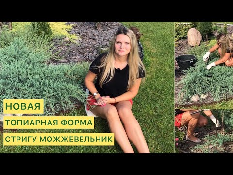 Видео: СТРИЖКА МОЖЖЕВЕЛЬНИКА ГРЭЙ ОУЛ 🌲БЫЛО/СТАЛО 🌲ФОРМА БУКЕТ ЦВЕТОВ скоро будет 🌲
