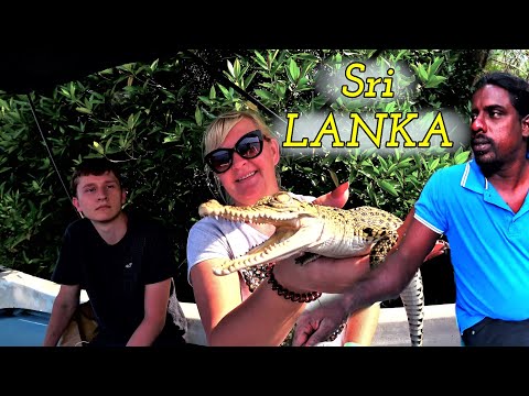 Видео: Sri Lanka путешествие по Реке Бентота Ганга. Что посмотреть на Шри-Ланке самостоятельно.