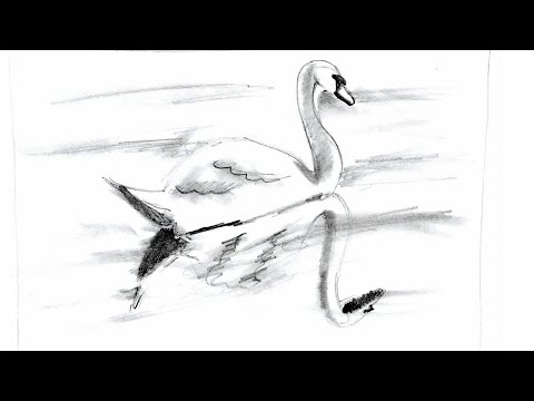 Видео: Отражение в воде. Часть ВТОРАЯ.