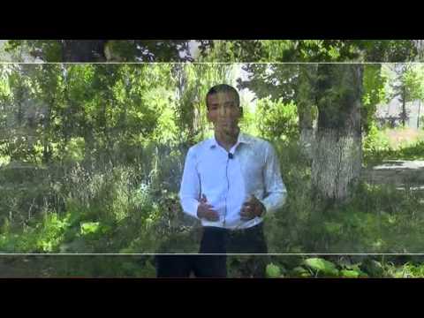 Видео: куршаб 97