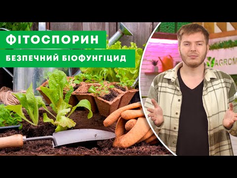 Видео: ФІТОСПОРИН | Чи варто застосовувати та як розводити? Натуральний біофунгіцид | Agro-Market.ua