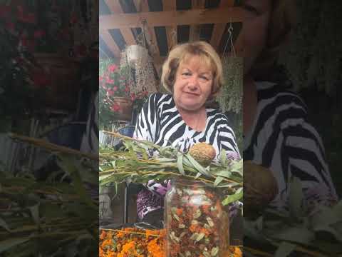 Видео: Низкое давление низкий пульс