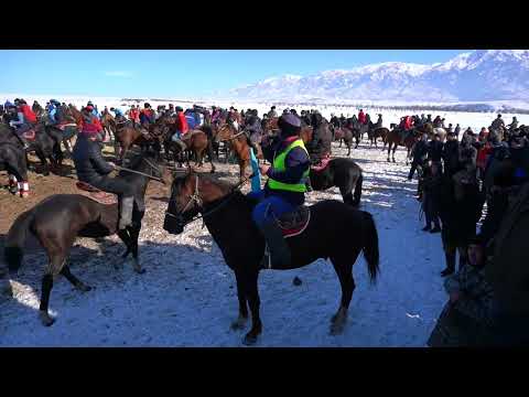 Видео: Бекс Көкпар