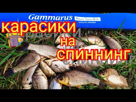 Видео: Мормышинг.Ловля карася на спиннинг, весной.Гаммарус .01-0.6гр.